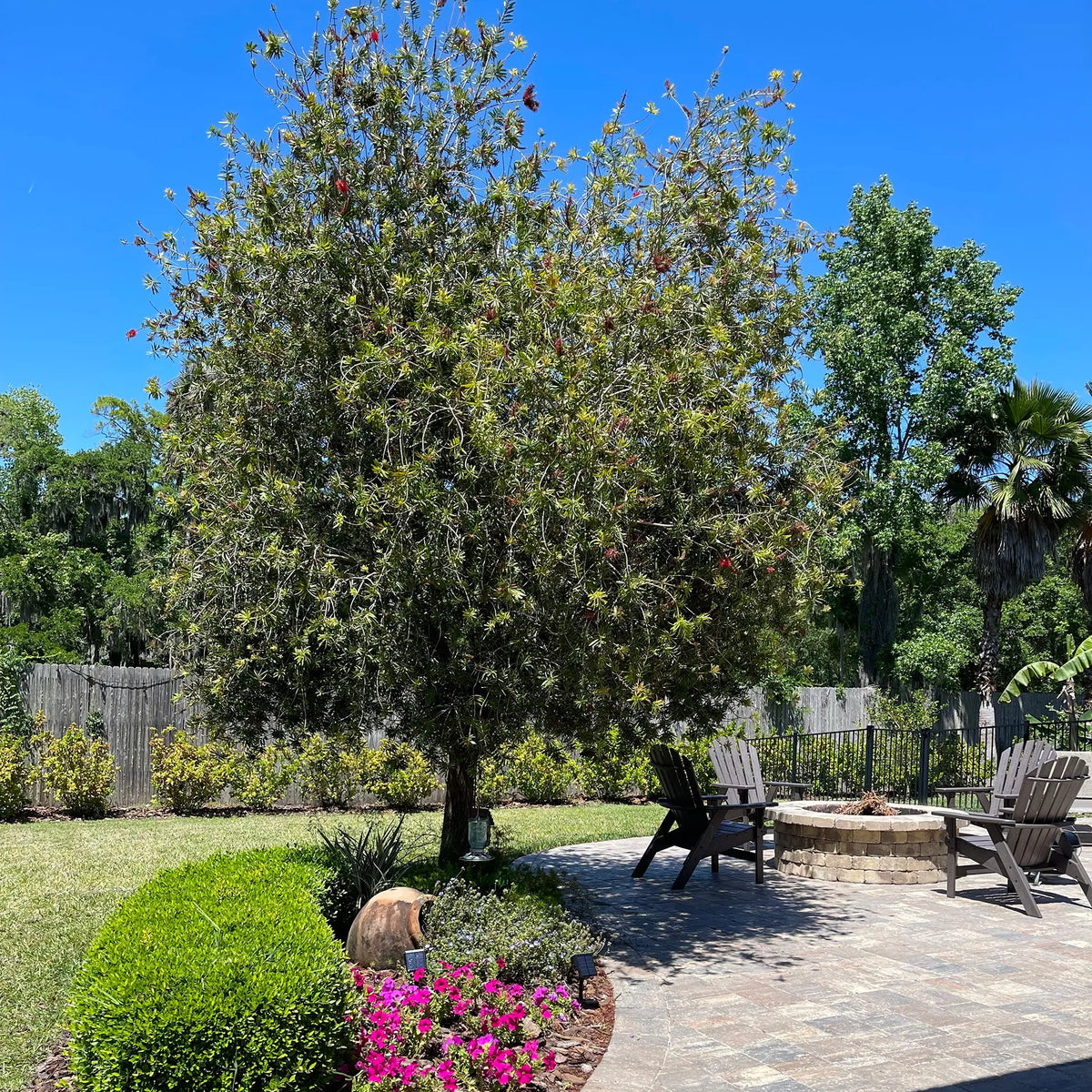 Virtual Landscape Planning Consultation