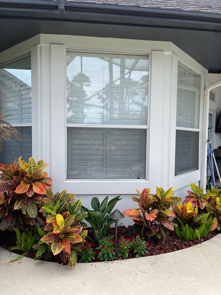 Landscape Maintenance Consultation