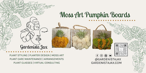 Workshop: Pumpkin Moss Art Trio