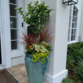 Seasonal Select Planter Insert