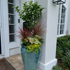 Seasonal Reserve Planter Insert Subscription