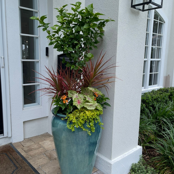 Seasonal Select Planter Insert