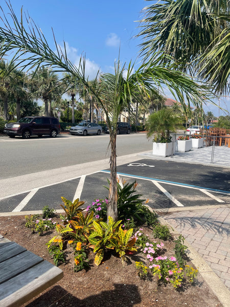 Landscape Maintenance Consultation