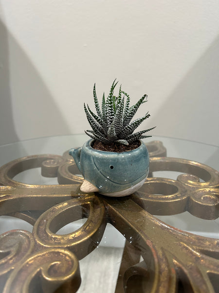 Blue whale planter