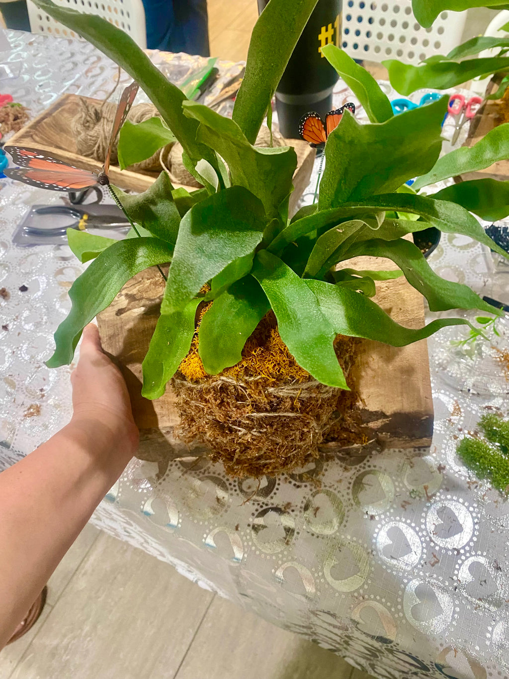 Private Planty Fun Workshop