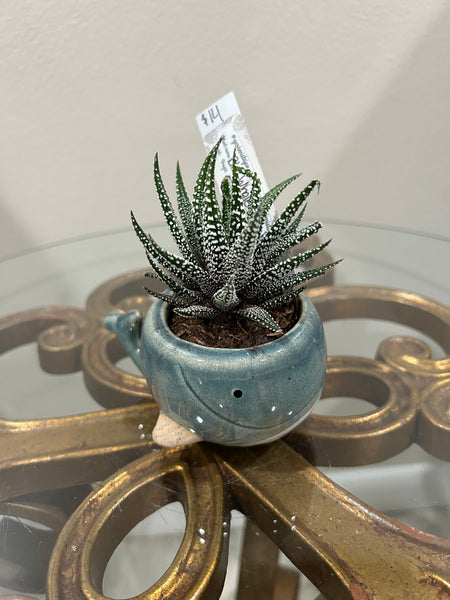Blue whale planter
