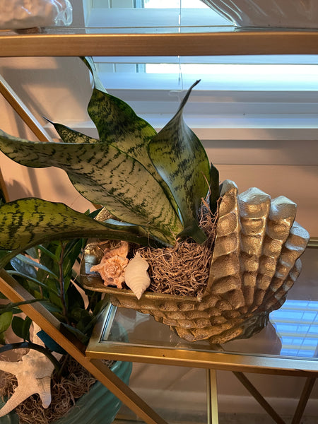 Indoor Plant Creation