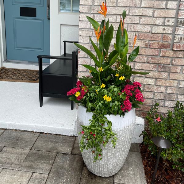 Seasonal Select Planter Insert