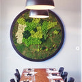 A circular moss wall installation featuring various shades of green moss arranged in a artistic pattern, mounted on a white wall above a dining table.