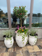Luxe Pots