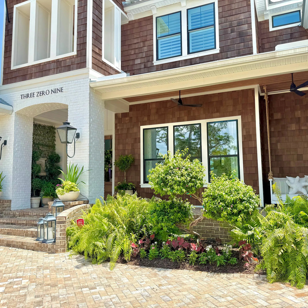 an array of plants outside a home