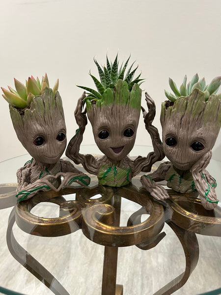 Groot Planters