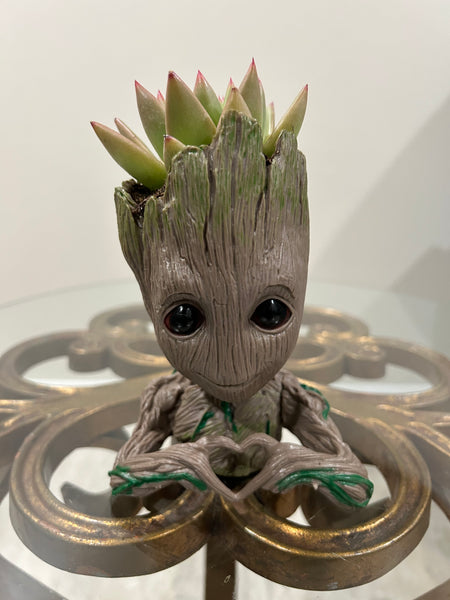 Groot Planters