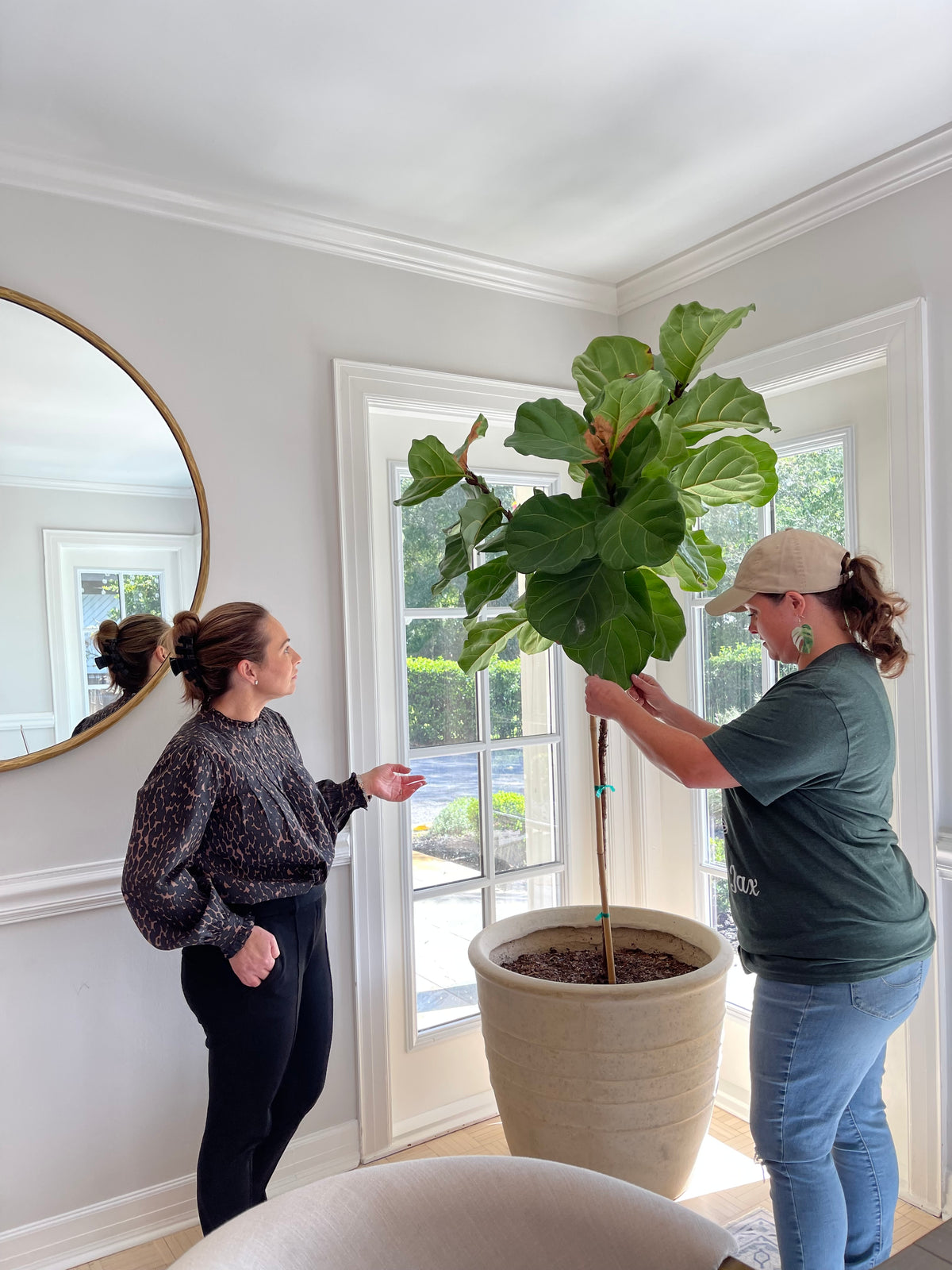 Plant Concerns Consultation