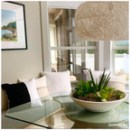 Interior Plant Care & Plant Sitting Consultation