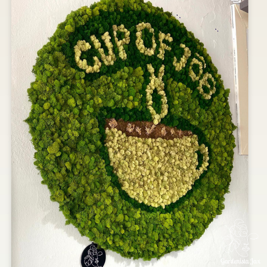 Virtual Moss Wall Creation Consultation