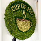 Virtual Moss Wall Creation Consultation