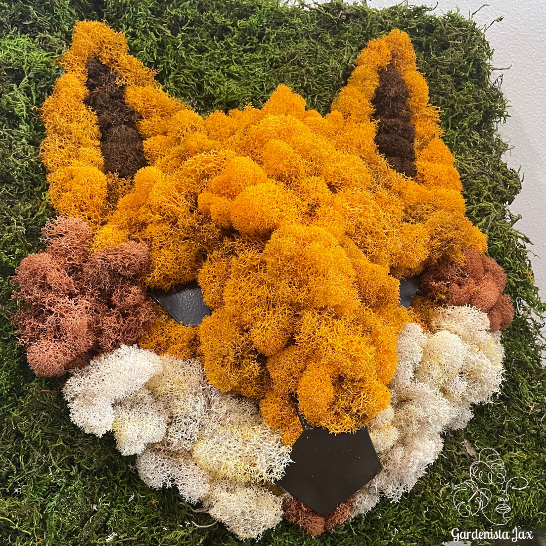 Moss Wall Creation Consultation – Gardenista Jax