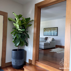 Commercial Interior Plant Styling Consultation