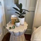 Interior Plant Care & Plant Sitting Consultation