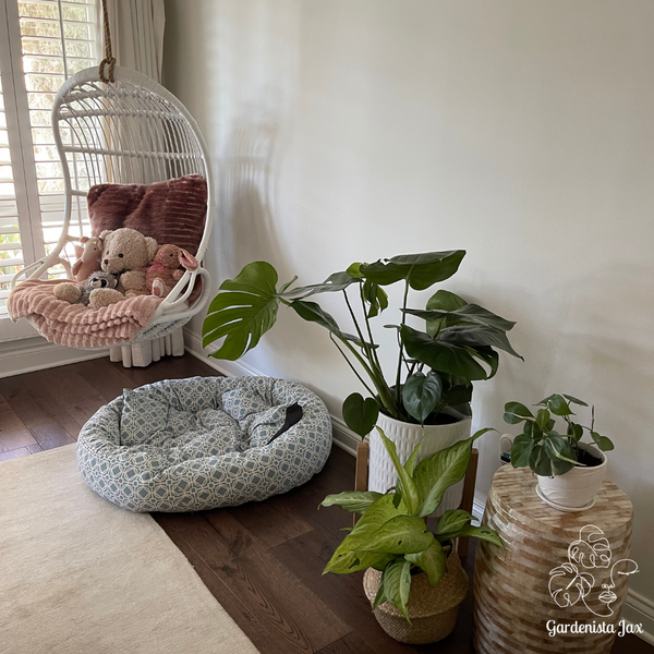 Virtual Plant Styling & Advice Consultation
