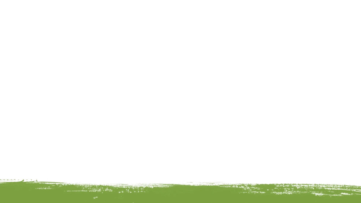 A minimalist graphic design featuring a solid white background with a textured, horizontal sage green brushstroke along the bottom edge.
