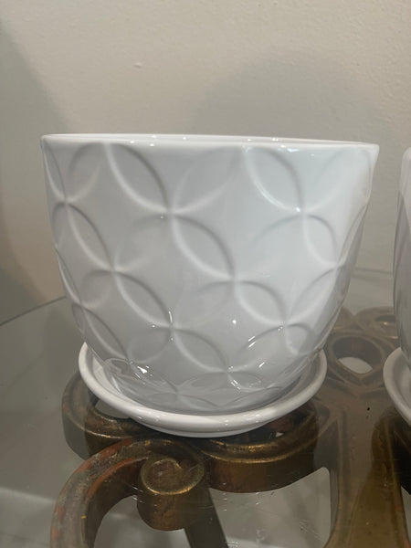 5.5” white pots
