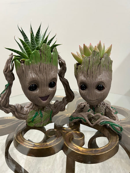 Groot Planters
