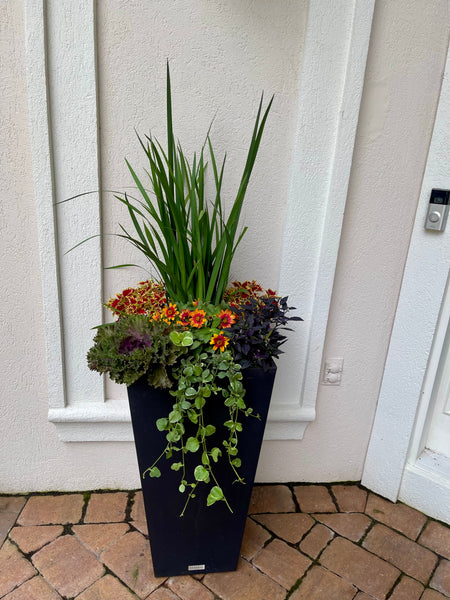 Fall Seasonal Planter Glow Up