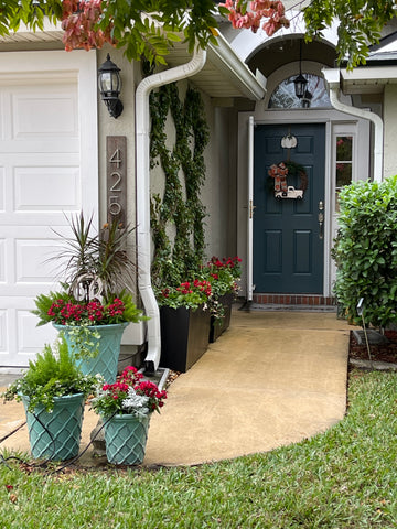 Winter Holidays Seasonal Planter Glow Up