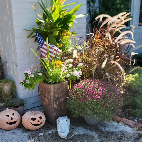 Fall Seasonal Planter Glow Up