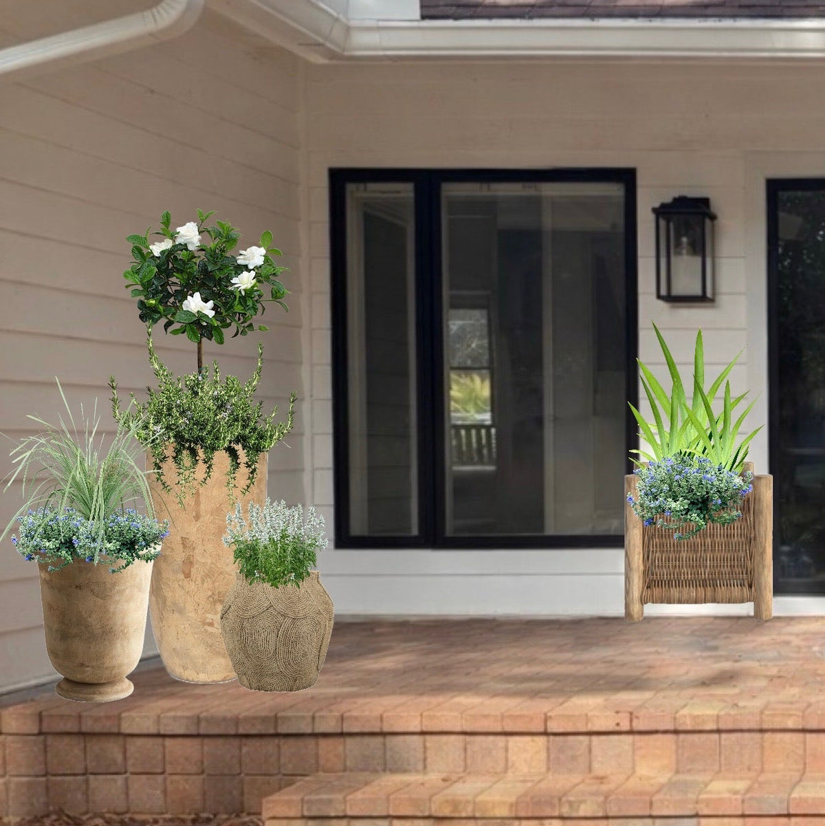 Decorative plants in pots on a porch with a house in the background