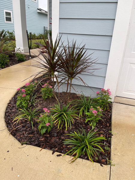 Landscape Maintenance Consultation