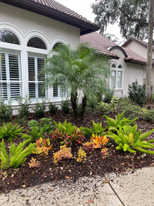 Landscape Design with Advice Consultation