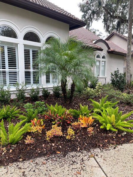 Landscape Maintenance Consultation