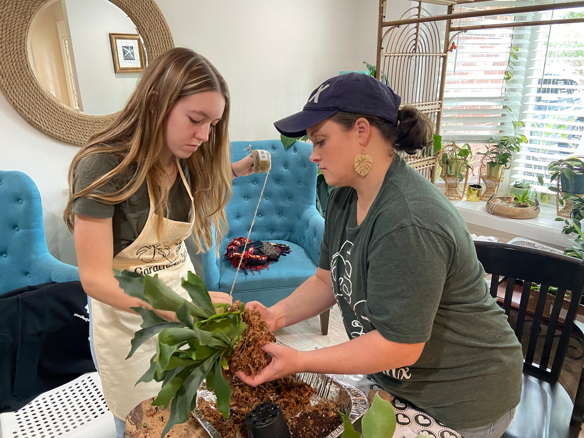 Private Planty Fun Workshop