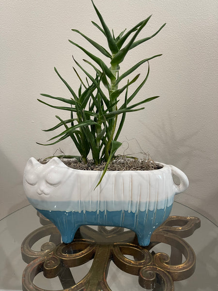 Blue Bottom Cat Planter