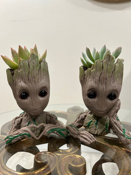 Groot Planters