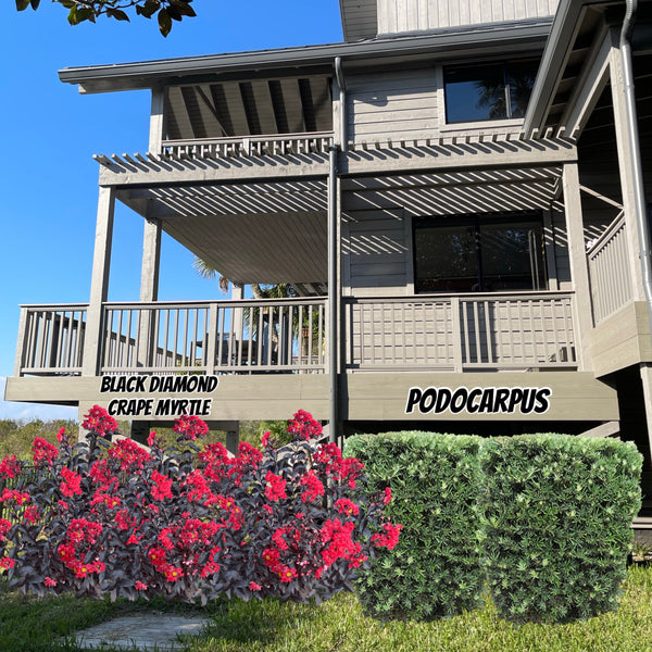 Virtual Landscape Advice with Planning Consultation