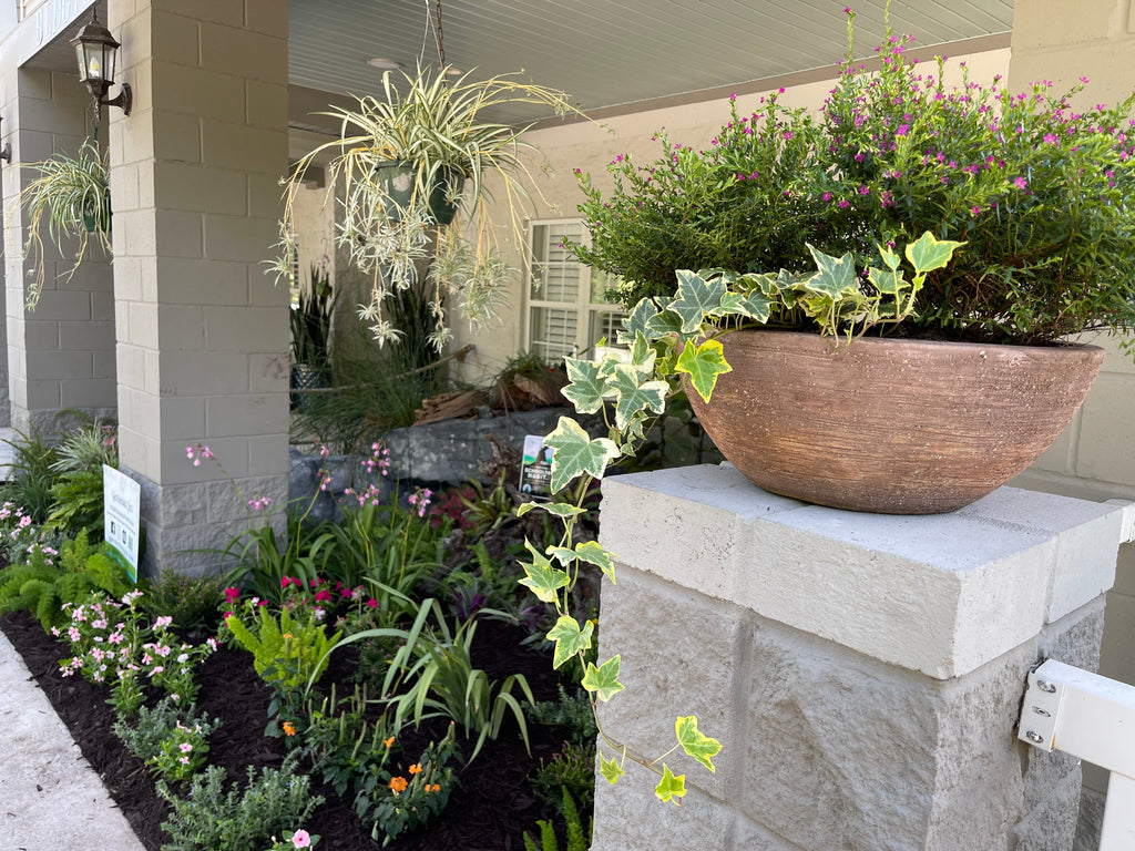 Landscape Planning Consultation