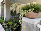 Landscape Planning Consultation
