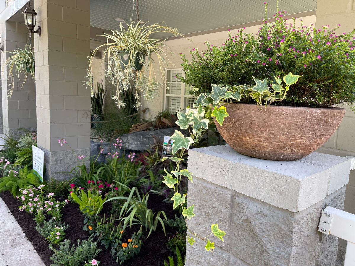 Landscape Planning Consultation