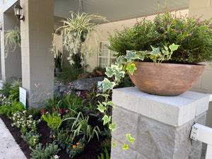 Landscape Maintenance Consultation