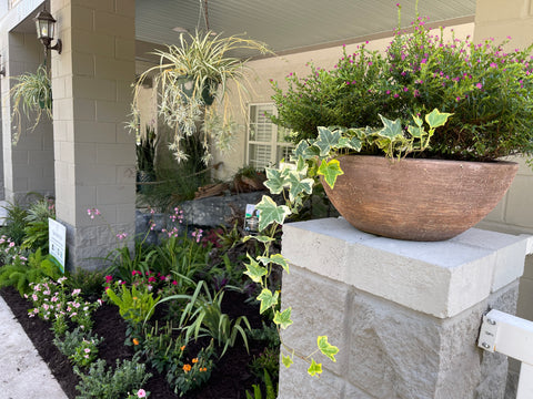 Landscape Maintenance Consultation