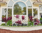 Purple Flowers in the outside window of a home
