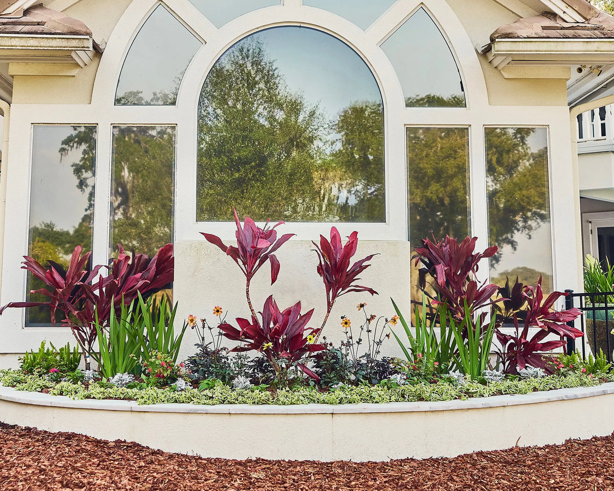 Purple Flowers in the outside window of a home