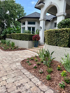 Landscape Planning Consultation