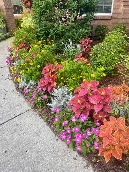 Landscape Design & Installation Consultation