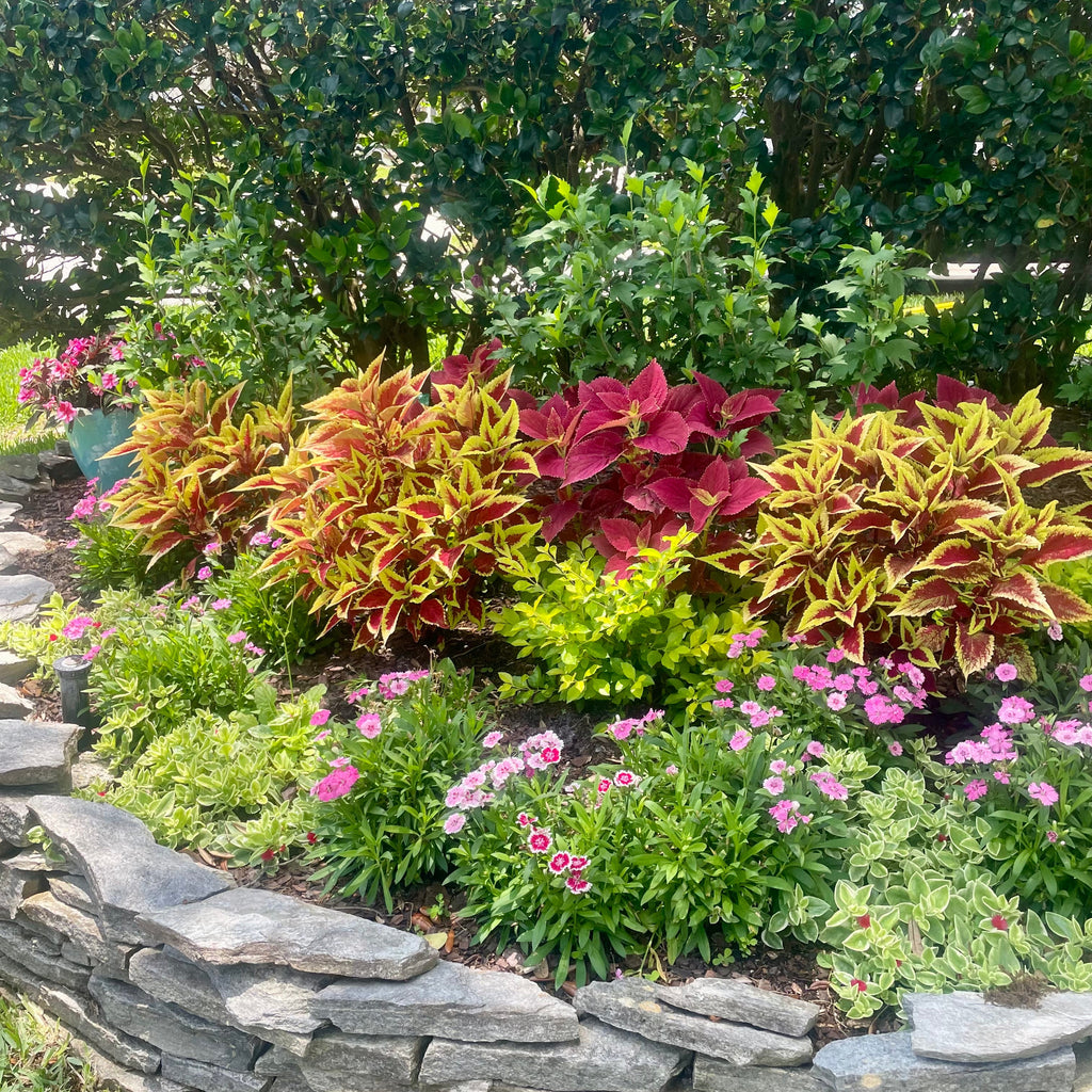 Landscape Planning Consultation
