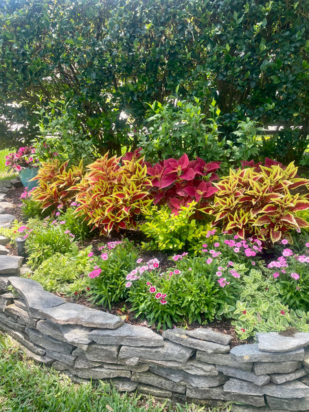 Landscape Design & Installation Consultation